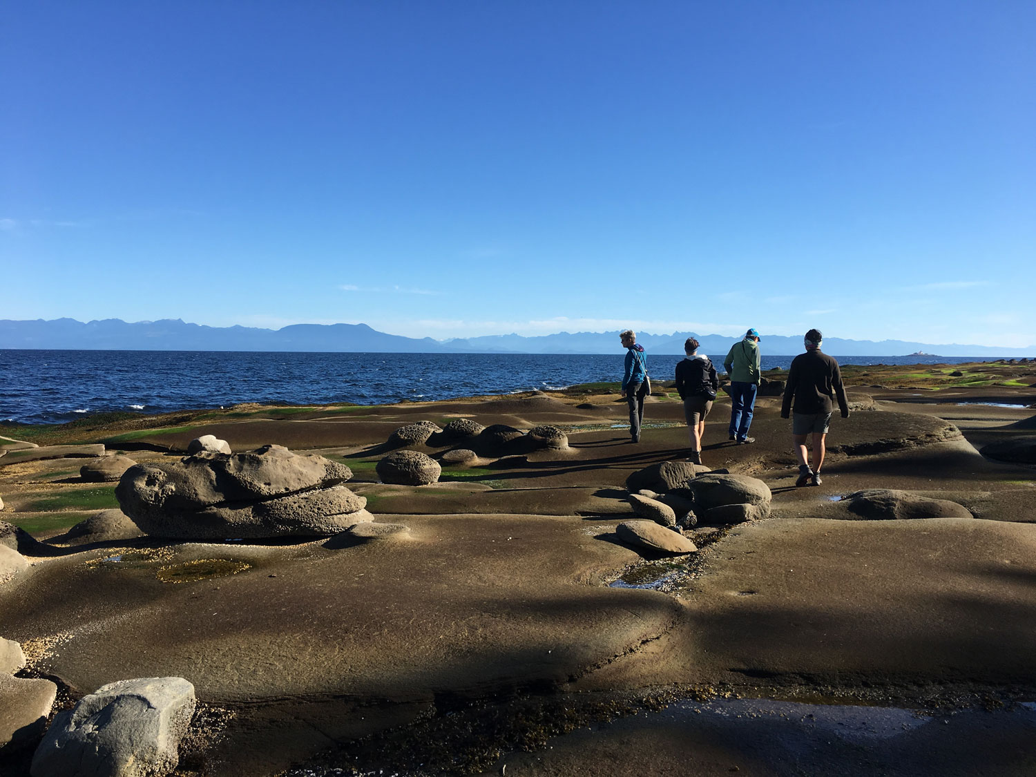 Four people walking along sandstone shelving at the ocean's edge.