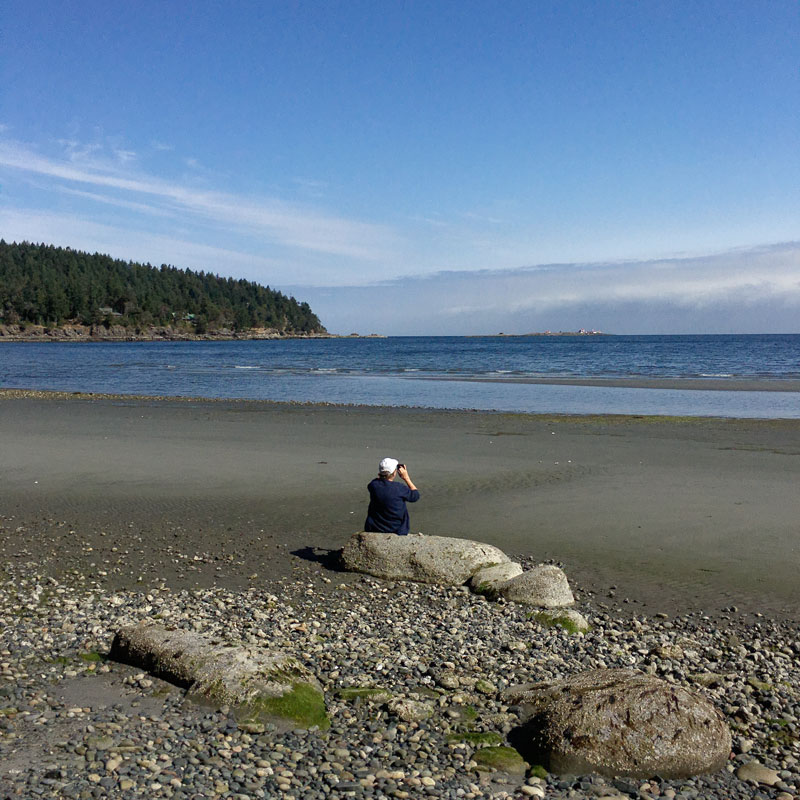 Person with binoculars sitting on a rock looking out over sandy beach to distant island