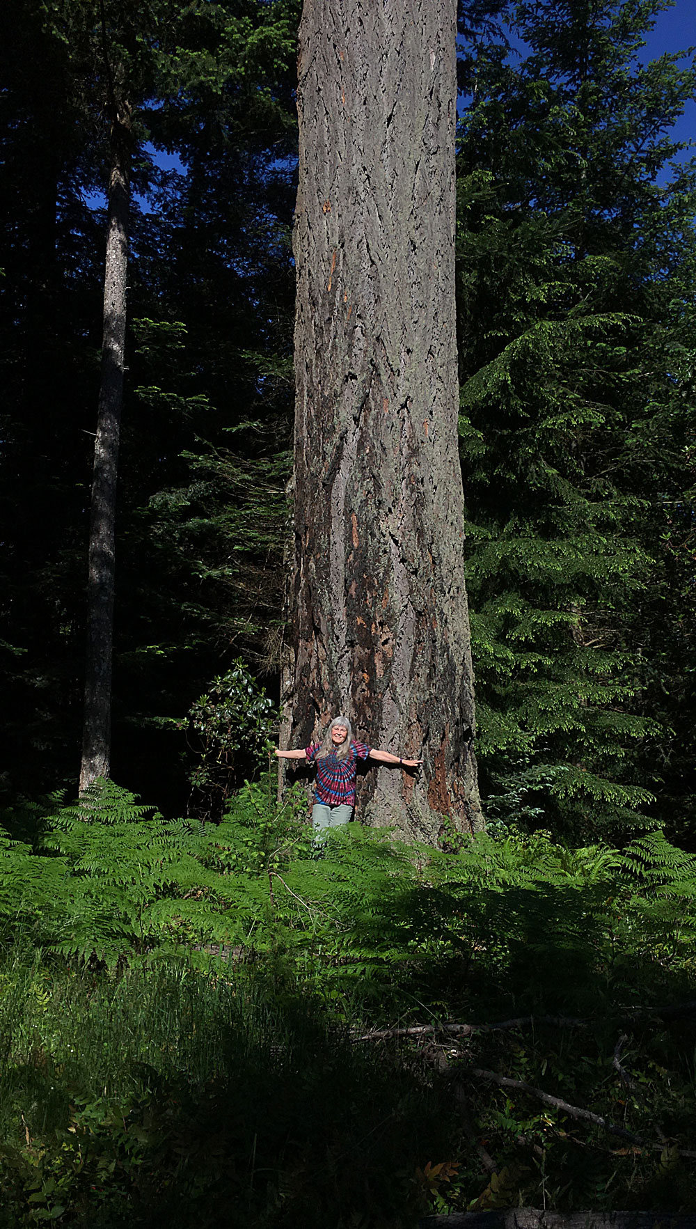 Woman standing in front of big Douglas-fir tree, arms outstretched.