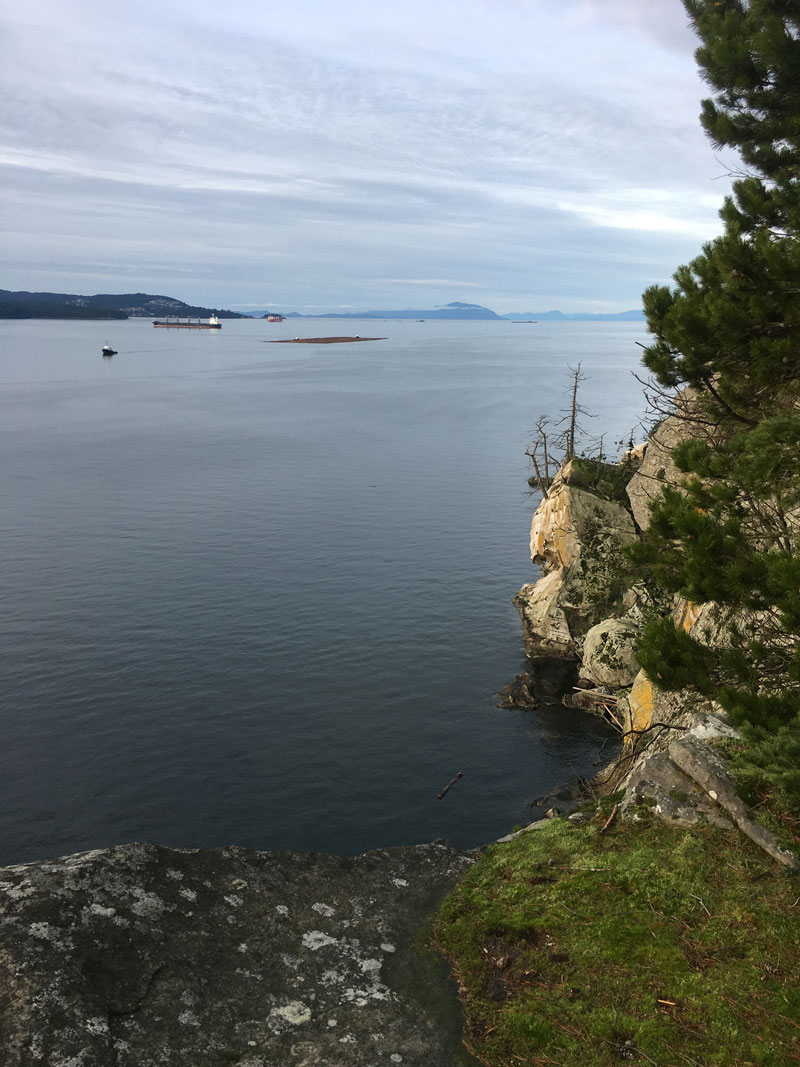 Looking out to sea from top of cliffs. Photos shows section of cliff with freighters and log boom in the distance.