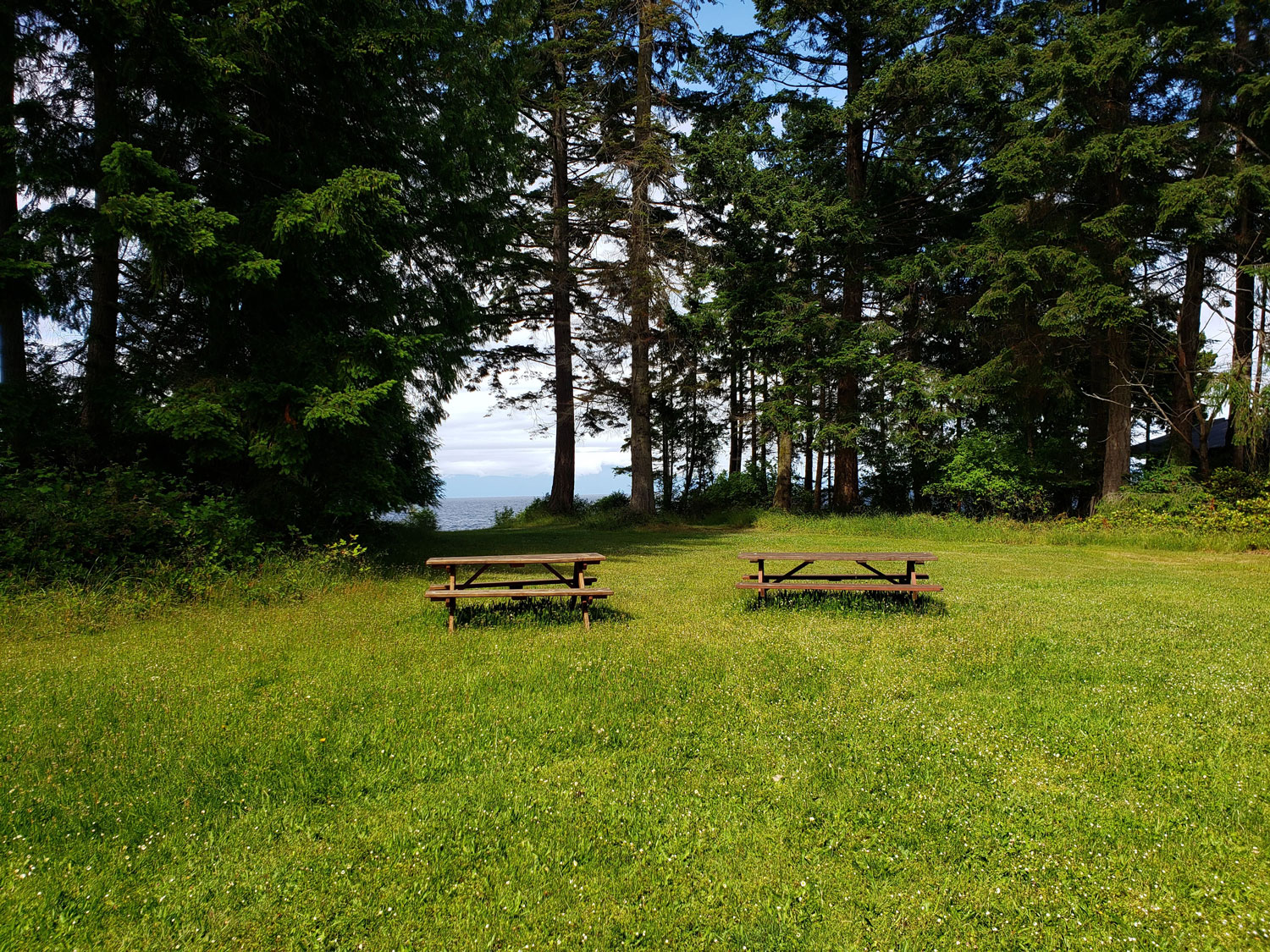 Picnic tables on grassy meadow at Blue Heron Community Park.