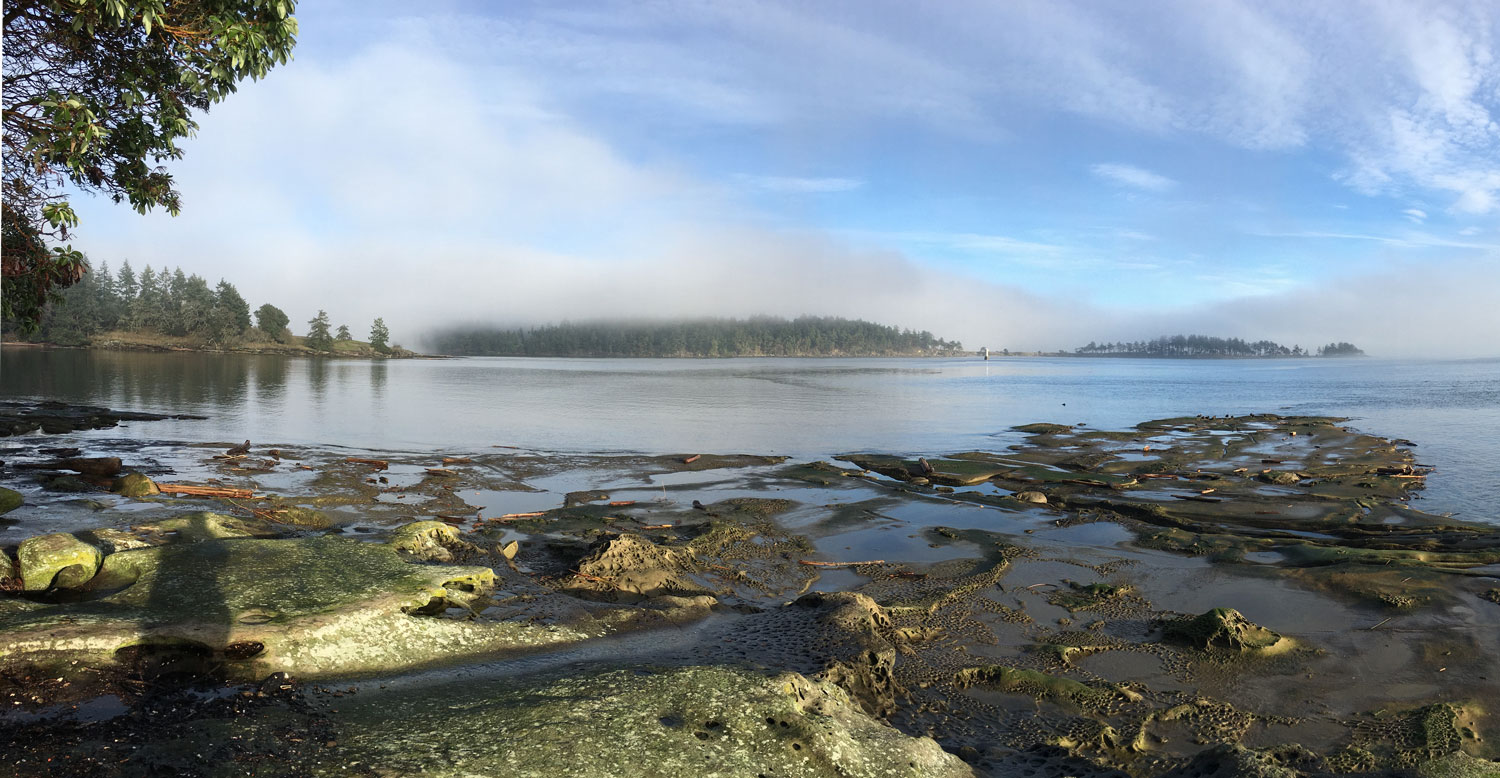 Early morning view at Drumbeg Provincial Park, showing sandstone formations and fog lifting on a distant island.