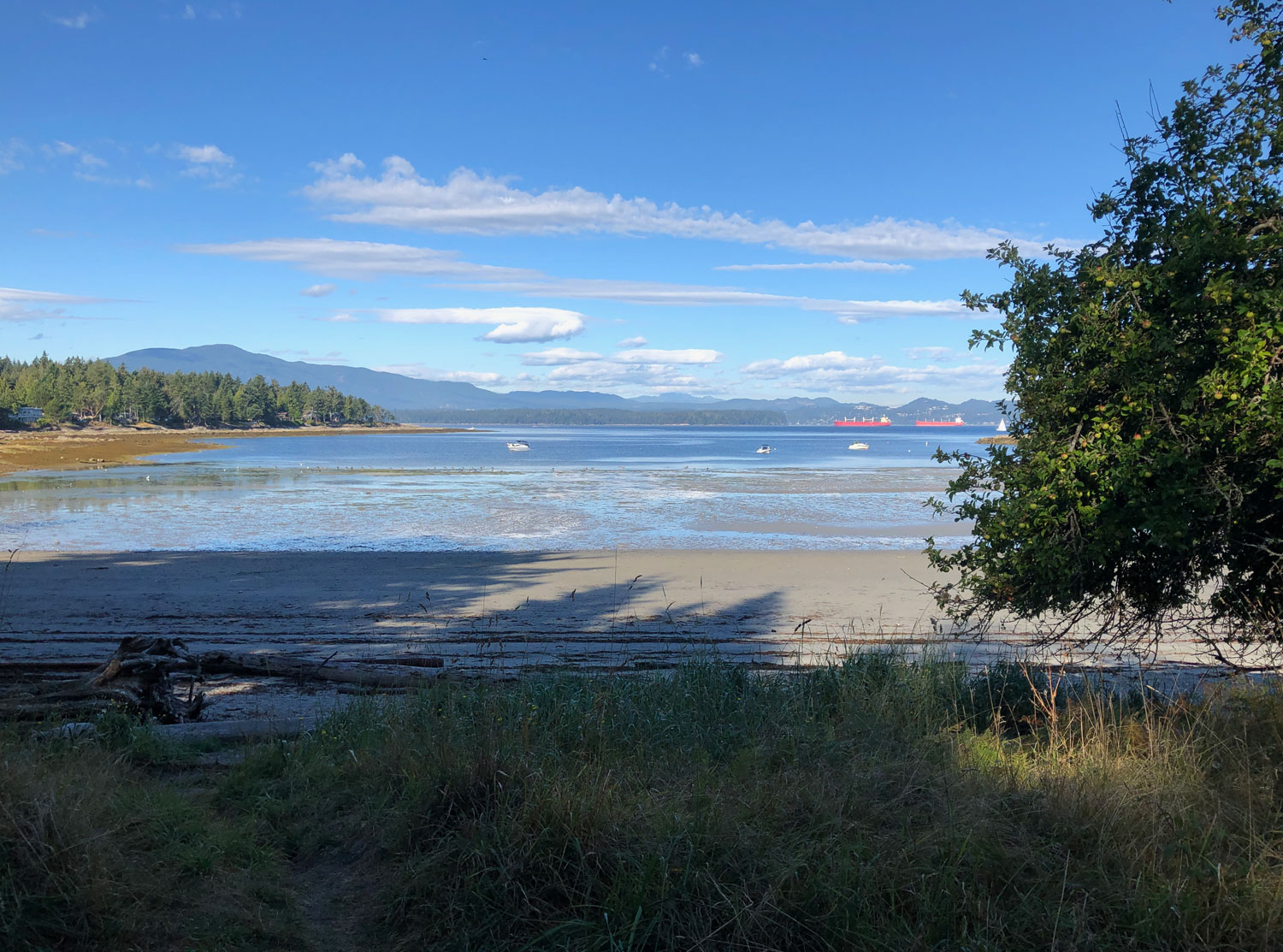 a view of Taylor Bay from Gabriola Sands Provincial Park. In the background are Newcastle Island, freighters, and Nanaimo.