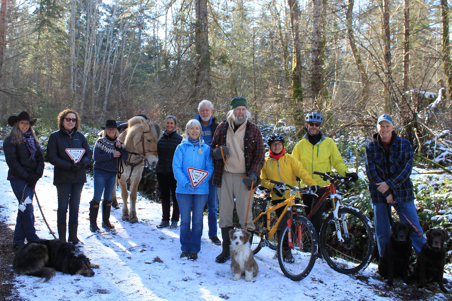 Group of people with share the trails "yield" signs. Group includes hikers, cyclists, a horse, and dogwalkers.