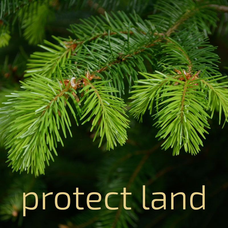 Link box text: protect land