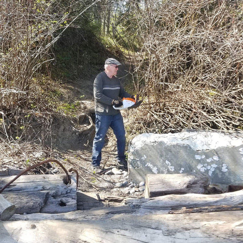 Man with a chainsaw clearing beach access trail