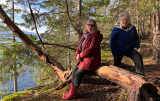 Two people by a distorted tree trunk "bench" on top of cliffs looking out to sea.