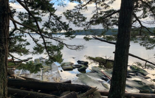 View of the ocean between trees, showing another island in the distance and sandstone shelving in the foreground