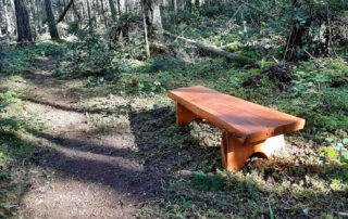 Beautifully crafted wooden bench beside a trail