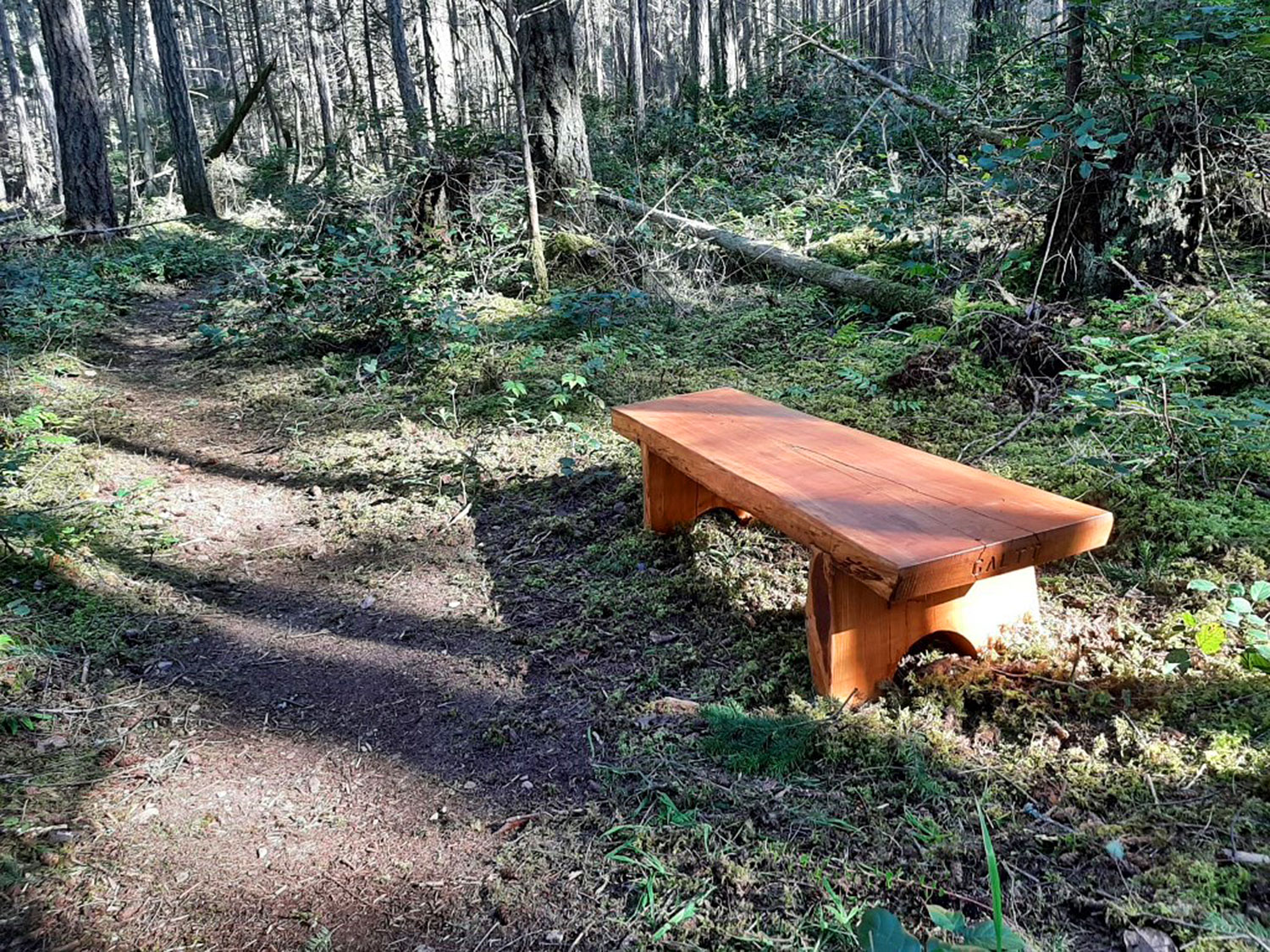 Beautifully crafted wooden bench beside a trail