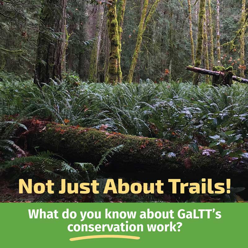 Graphic promoting conservations survey. It includes a photo of a forest and text that says, "Not just about trails! What do you know about GaLTT's conservation work?"