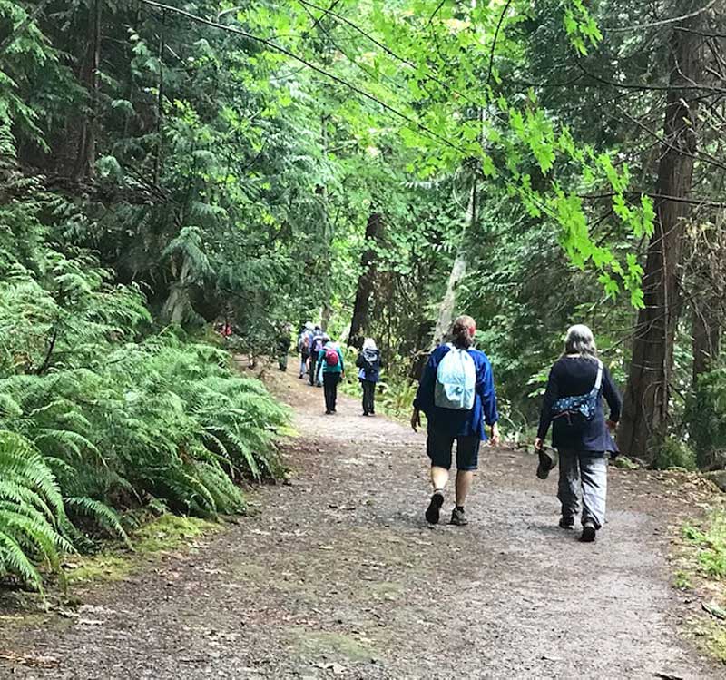 People walking on a wide forest trail