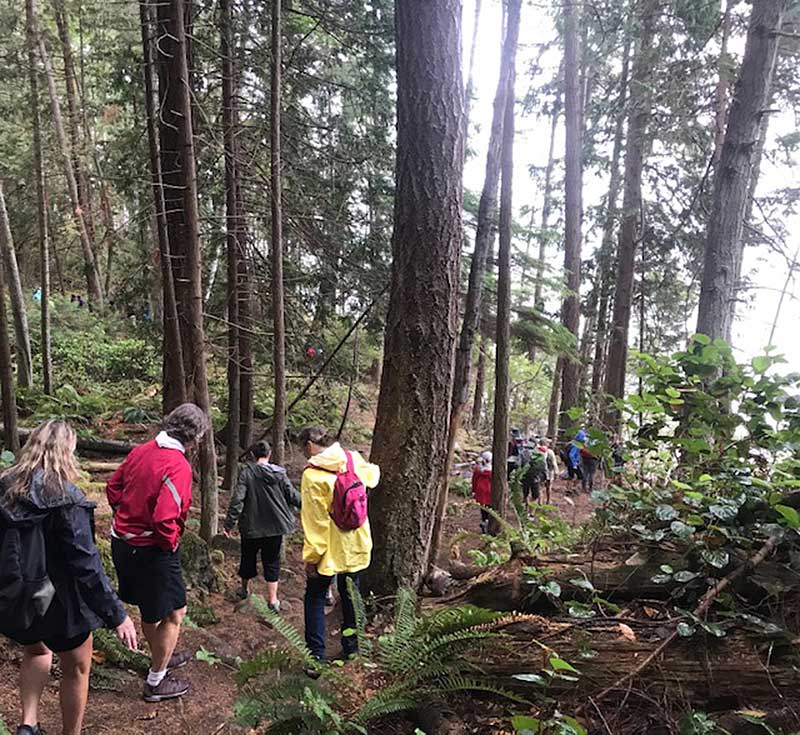 Line of people walking a forest trail