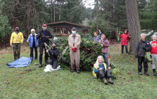 Large group of socially-distanced volunteers waving tools and cheering near large pile of cut daphne.