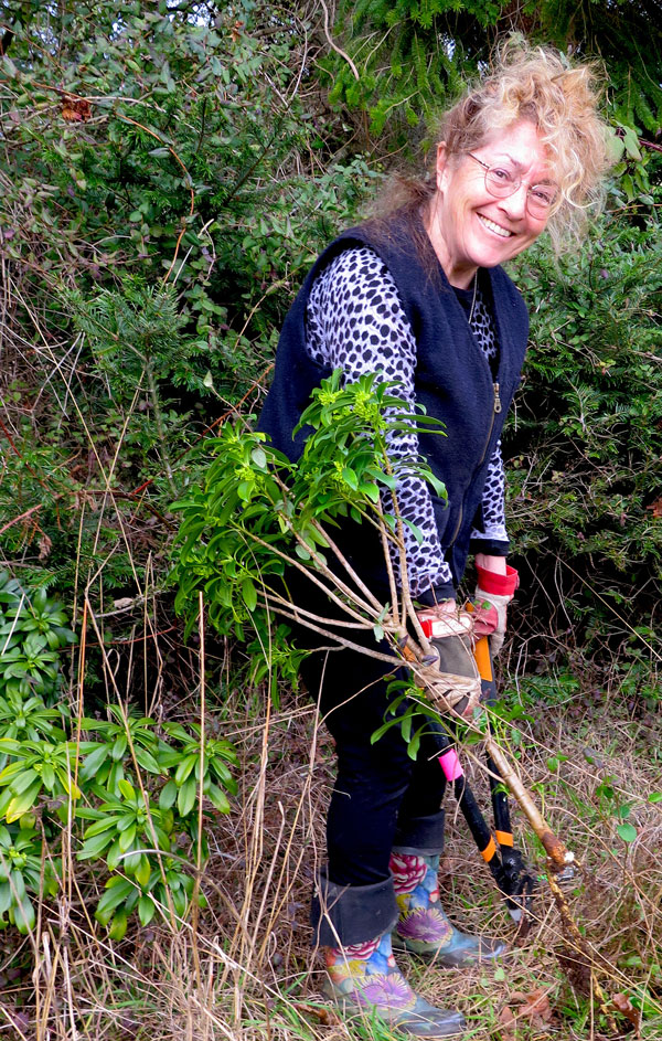 Smiling woman holding cut daphne and loppers