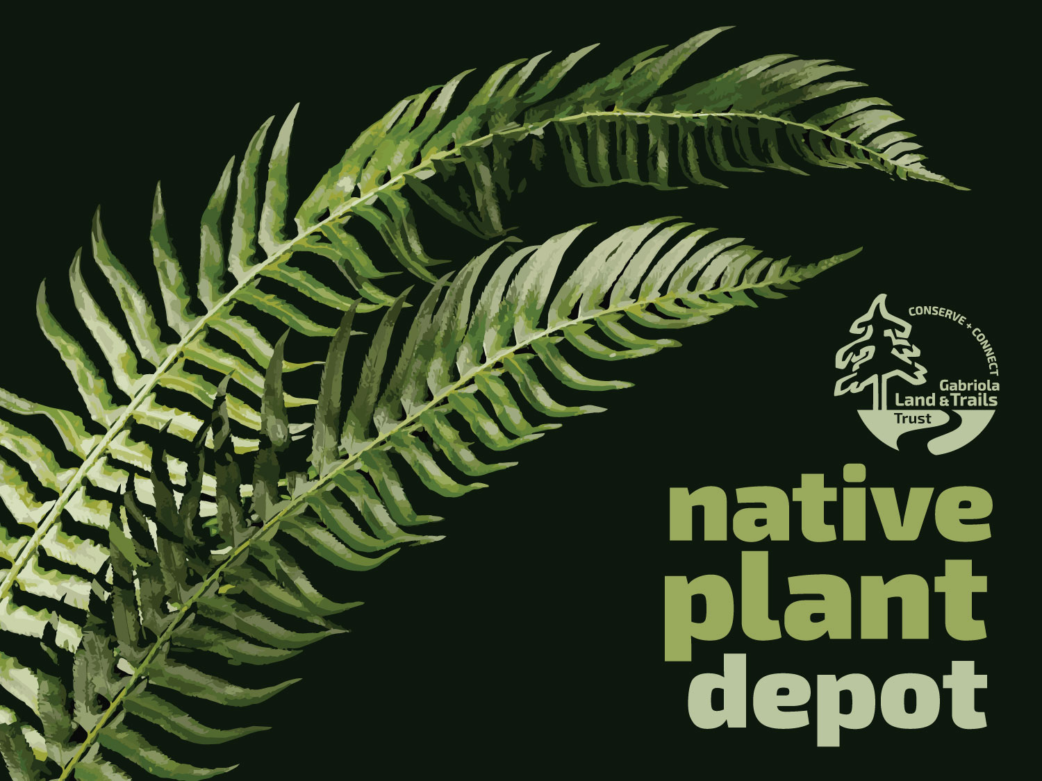 Graphic showing stylized swordfern and the words "native plant depot