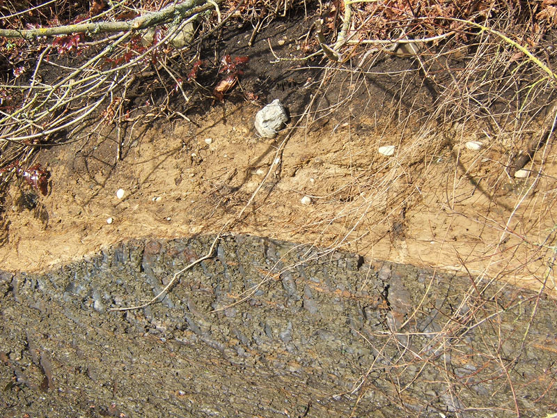 Photo shows a bluff with dirt fallen away to reveal cross-sections of layered earth