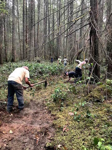 Group of people using tools to clear a trail
