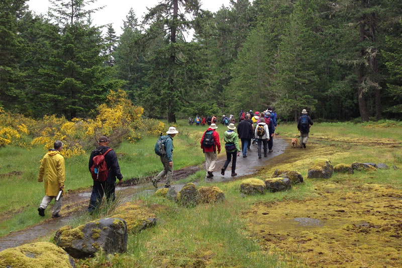 Group of people walking along a trail through a moss meadow