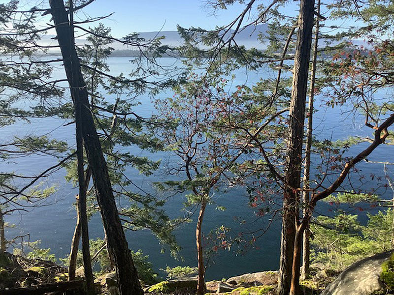 View from clifftop over ocean, Vancouver Island in the distance