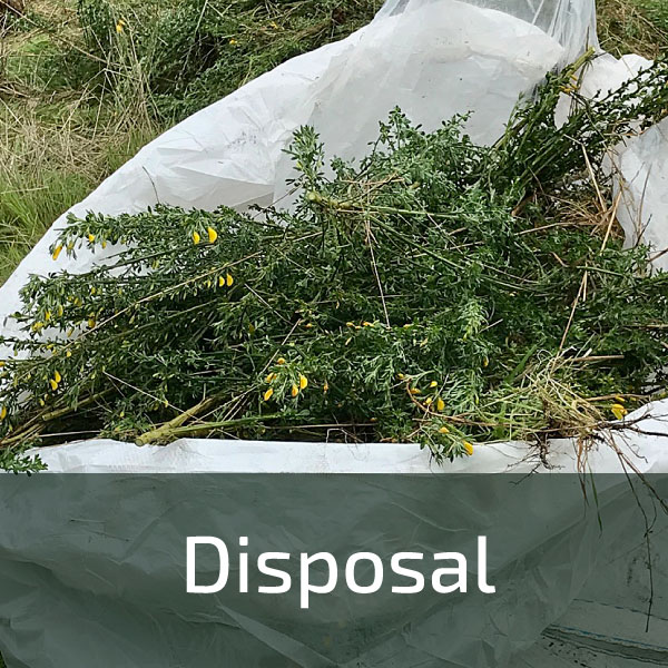 Image shows bag of broom branches, text says "Disposal.