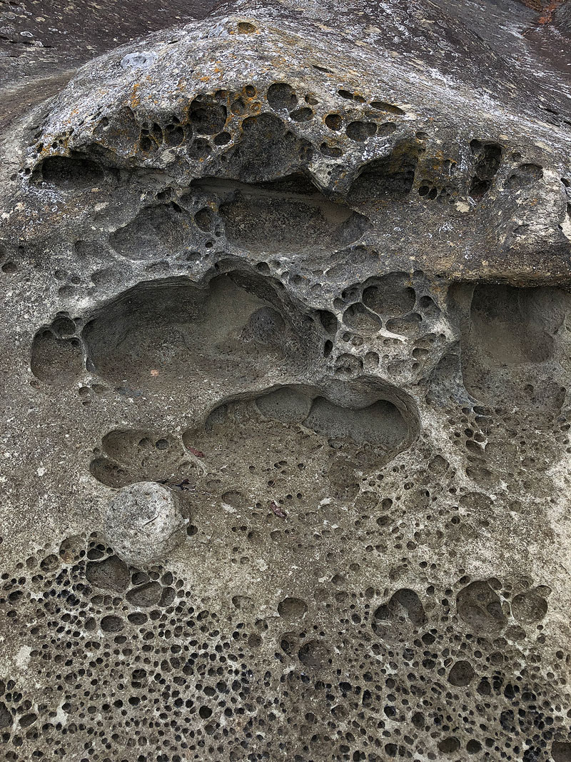 Honeycombed sandstone