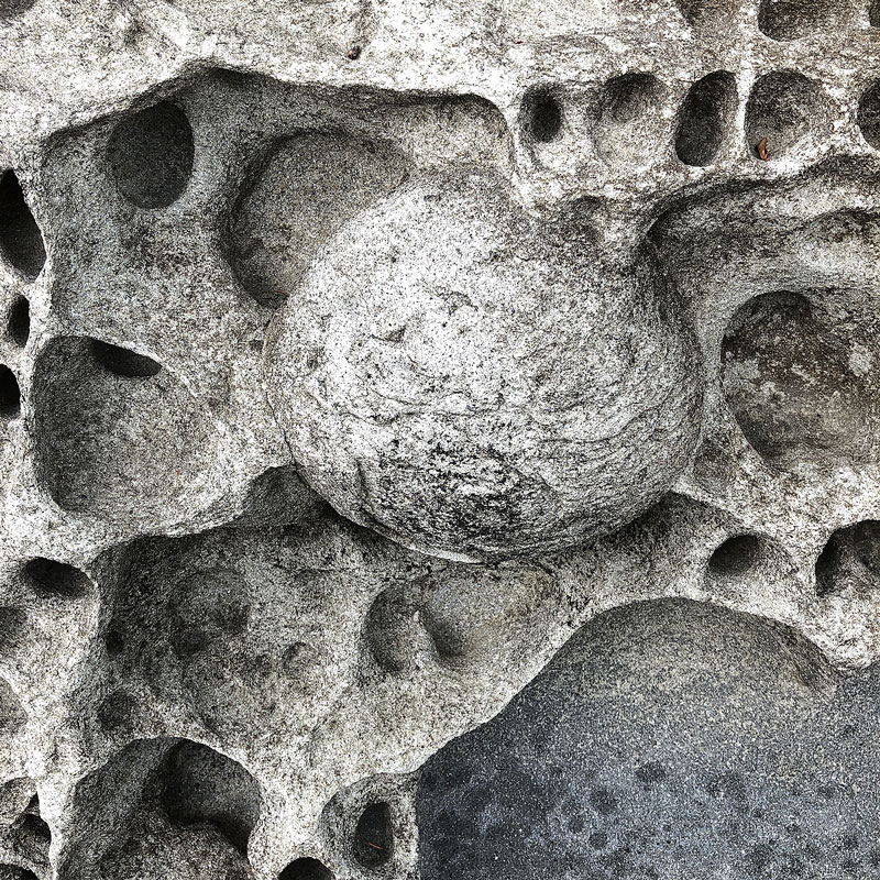 A concretion embedded in honeycombed sandstone.