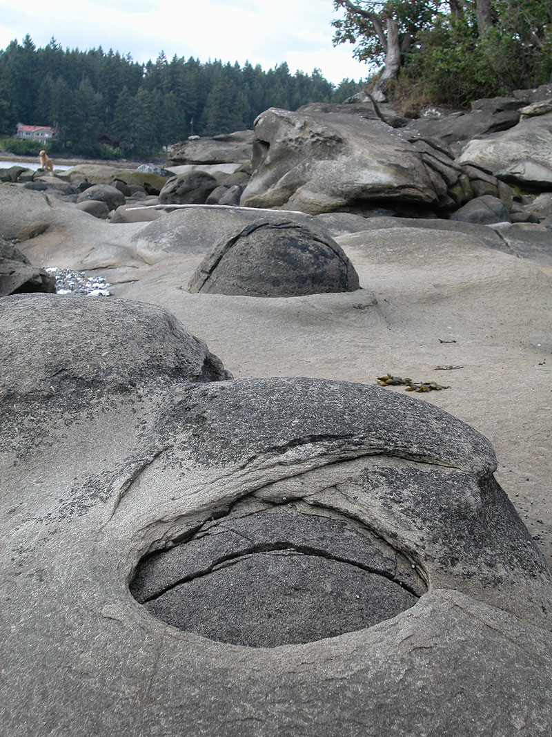 Concretions embedded in sandstone