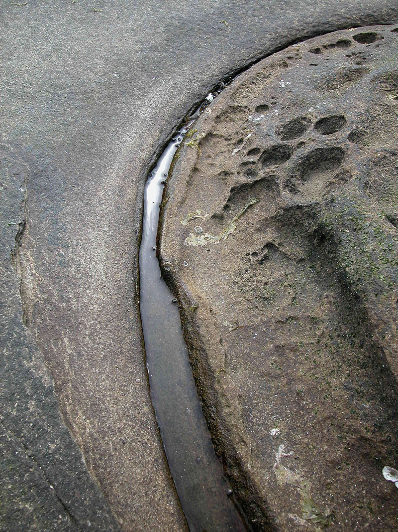 A waterfilled indentation curves around a section of honeycombed sandstone