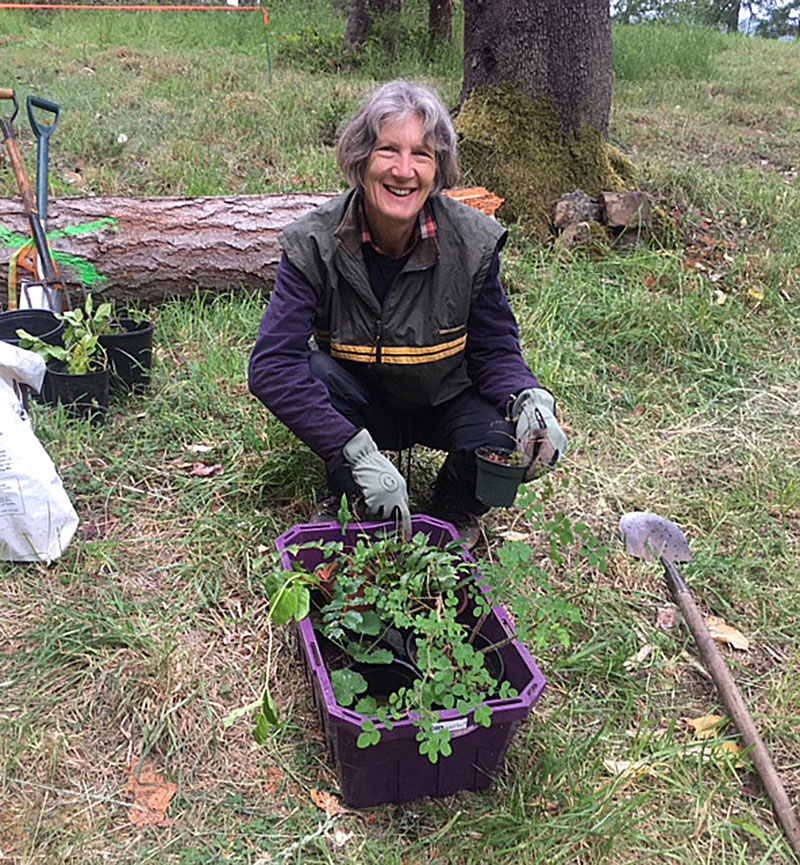 Woman with a tub of transplanted native plants in pots