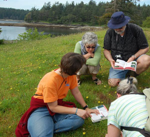 Group of people with field guide examining flowers in meadow