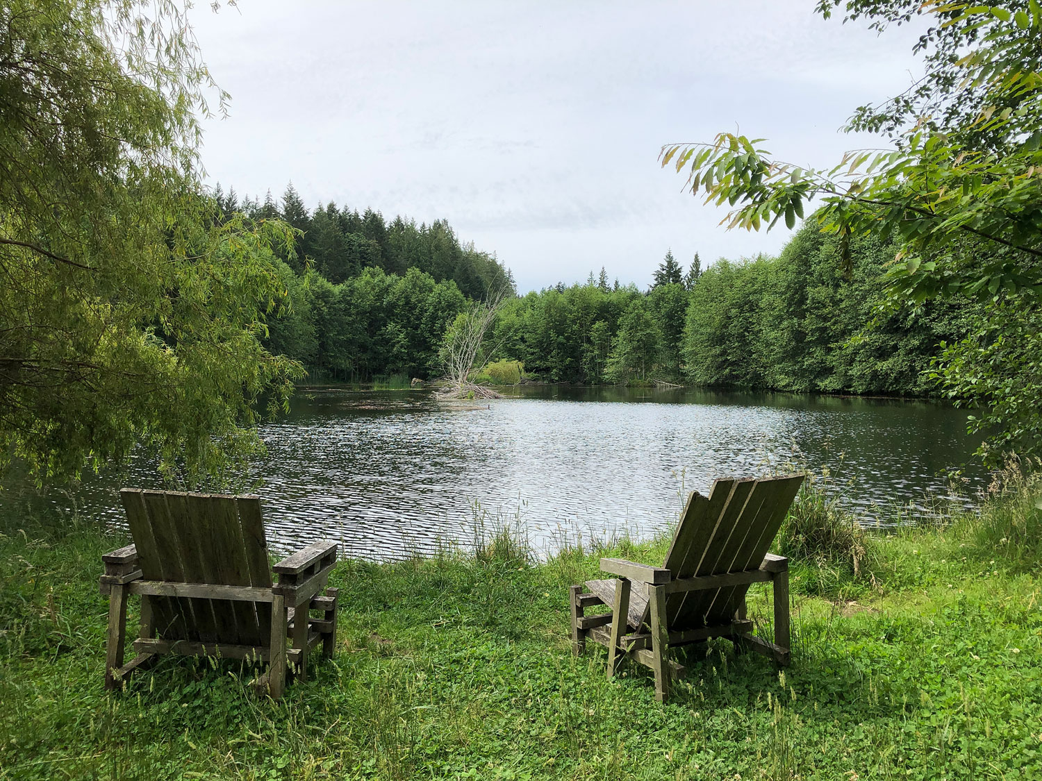 Photo shows a large pond surrounded by trees. Two adirondack chairs sit in the foreground.