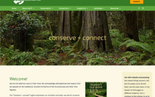 website home screenshot