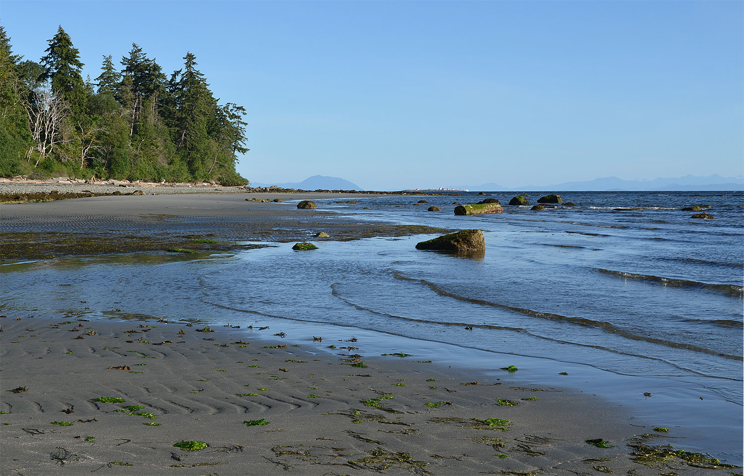 Looking along a sandy beach interspersed with rocks at low tide, forest behind. In the distance you can faintly see the silhouette of the lower mainland.