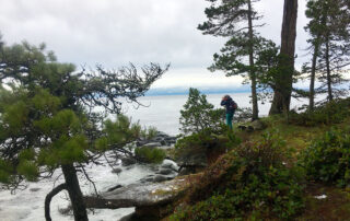 A person with binoculars looks out to sea from the shore of Gabriola Island. There is shorepine and salal above the rocks of the beach.