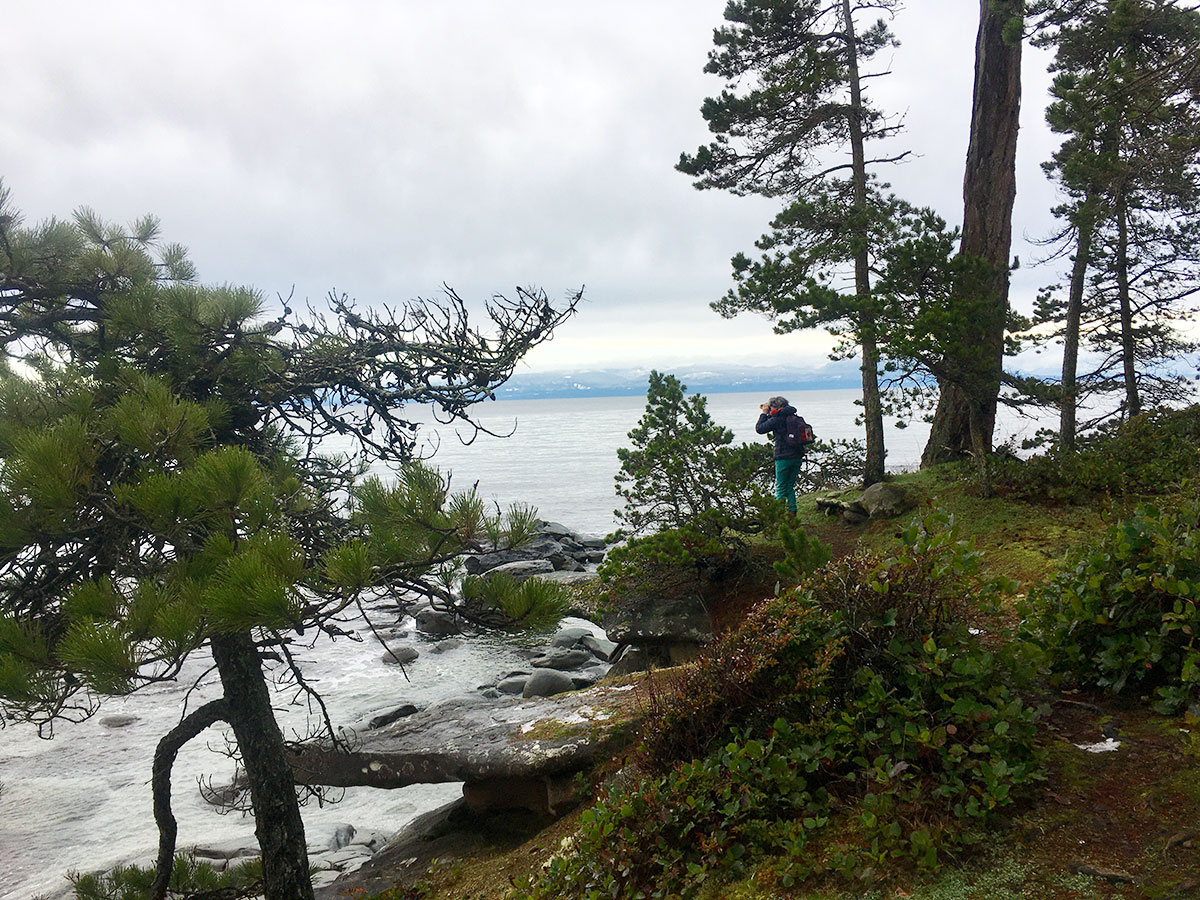 A person with binoculars looks out to sea from the shore of Gabriola Island. There is shorepine and salal above the rocks of the beach.