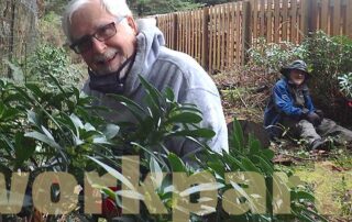 Two men with tools clipping back invasive daphne. Text over the image says "workparty."