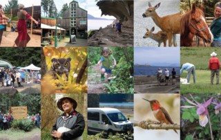 Collage of photos from the Gabriola community