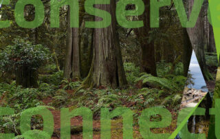 A collage of photos of different kinds of environments; the main one is of a coastal rainforest. The transparent words "conserve" and "connect" overlay the image.