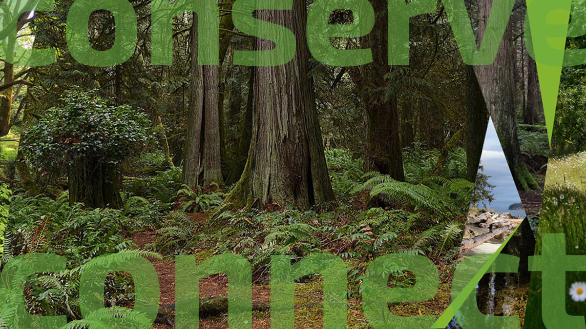 A collage of photos of different kinds of environments; the main one is of a coastal rainforest. The transparent words "conserve" and "connect" overlay the image.