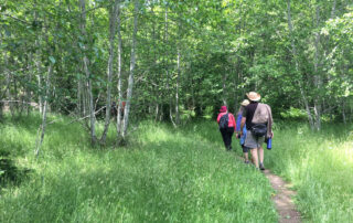 Three people walk along a trail through spring grass and alders