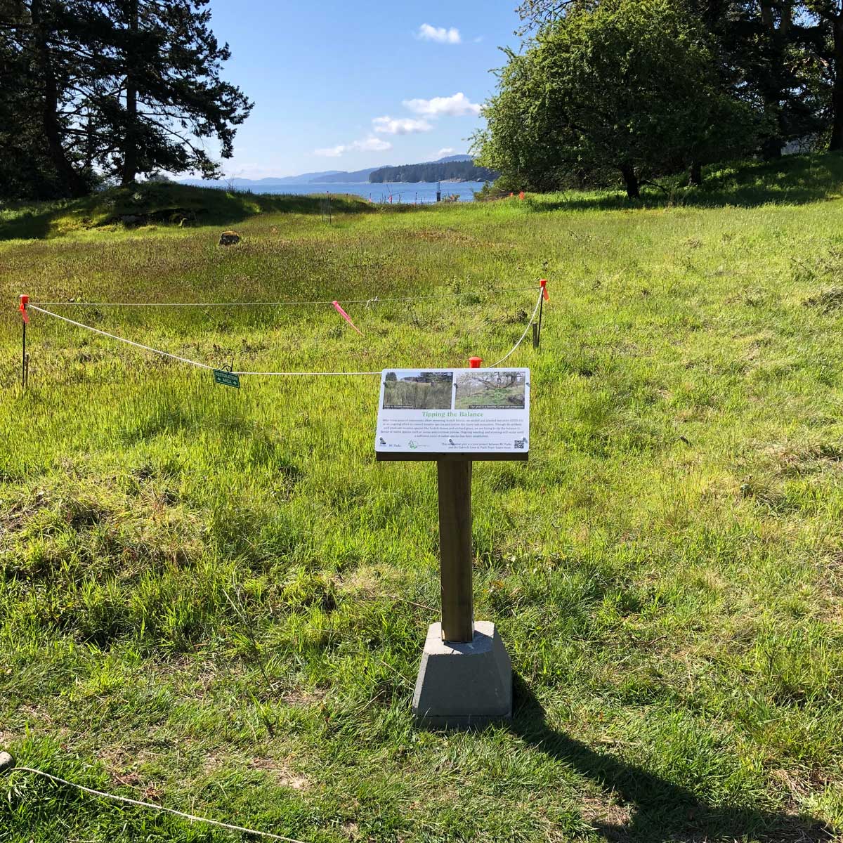 Photograph of a grassy meadow with string barriers and an interpretive sign explaining an ecological restoration project.