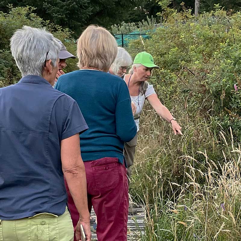 a group of people on a boardwalk listen to a woman in a GaLTT ballcap pointing something out in the marsh