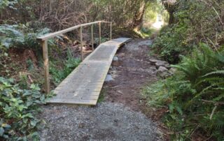 A newly repaired boardwalk bridge now has a railing and stands well above a dry creekbed.