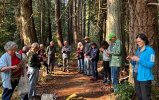 A group of people stand in a circle on a forest trail. Most are holding a natural object and examining it with close attention.
