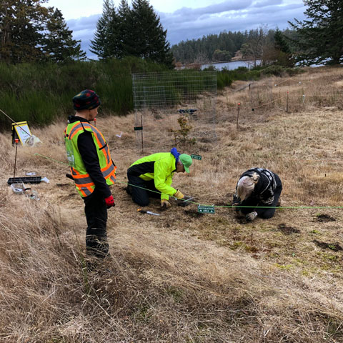 Two people work on planting native plants in a cleared and roped off area of a meadow. A woman stands watching. In the background you can see wire fencing around a small tree, placed there to protect it against deer browse.