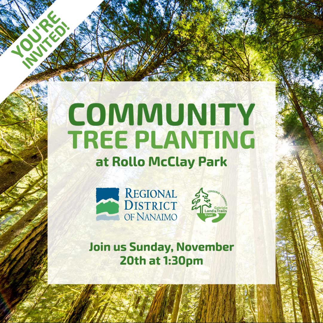 Graphic announcing an event. Text: You're Invited! Community Tree Planting at Rollo McClay Park. Join us Sunday November 20th at 1:30 pm.