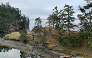 A view looking at a tiny gulf islands islet. There is a narrow passage between it and another island, and a "no entry" red warning sign is posted on a tree.