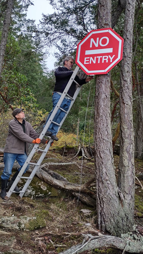 One man holds a ladder as a second fastens a large red and white "no entry" sign to a tree.