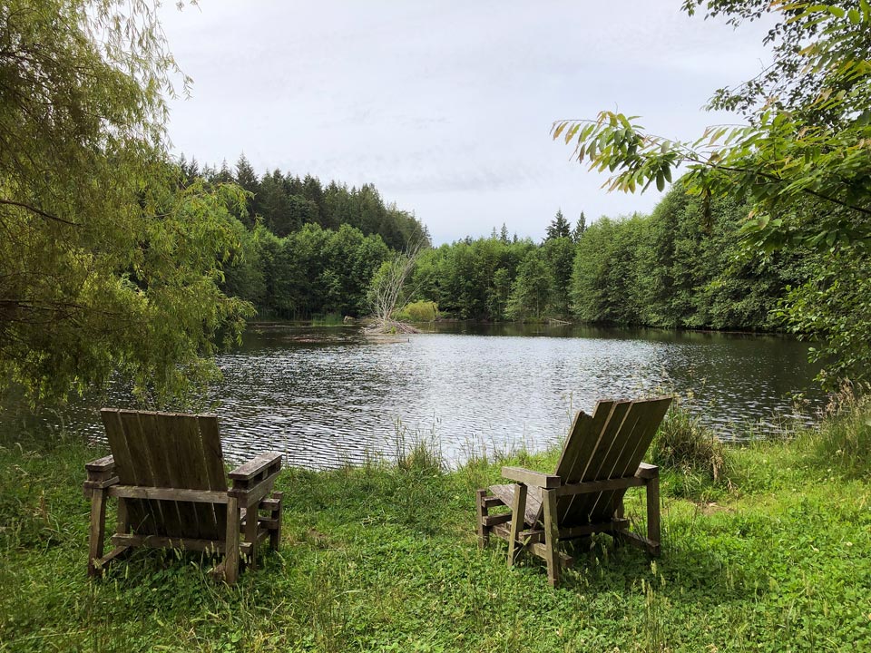 Two adirondack chairs sit before a large, lovely pond surrounded by trees. A beaver lodge can be seen in the middle of the pond at a distance